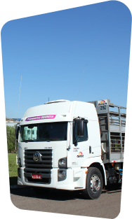 Nossa práticas - Transporte